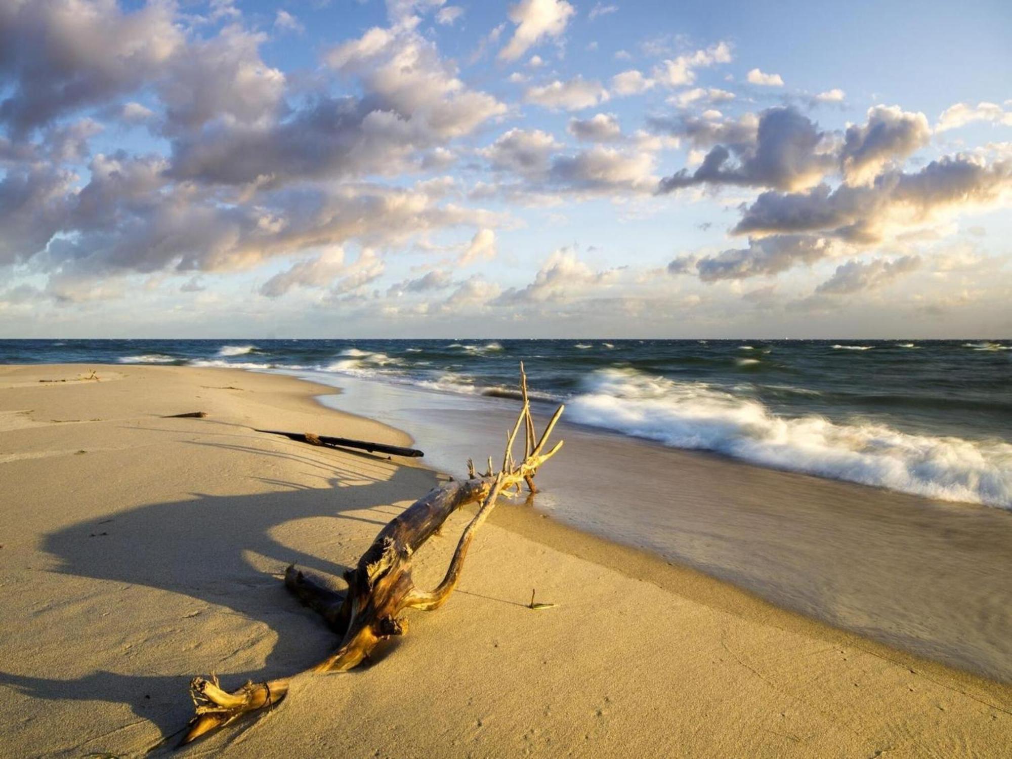 Spacious Holiday Homes Near The Beach In Pobierowo Eksteriør bilde